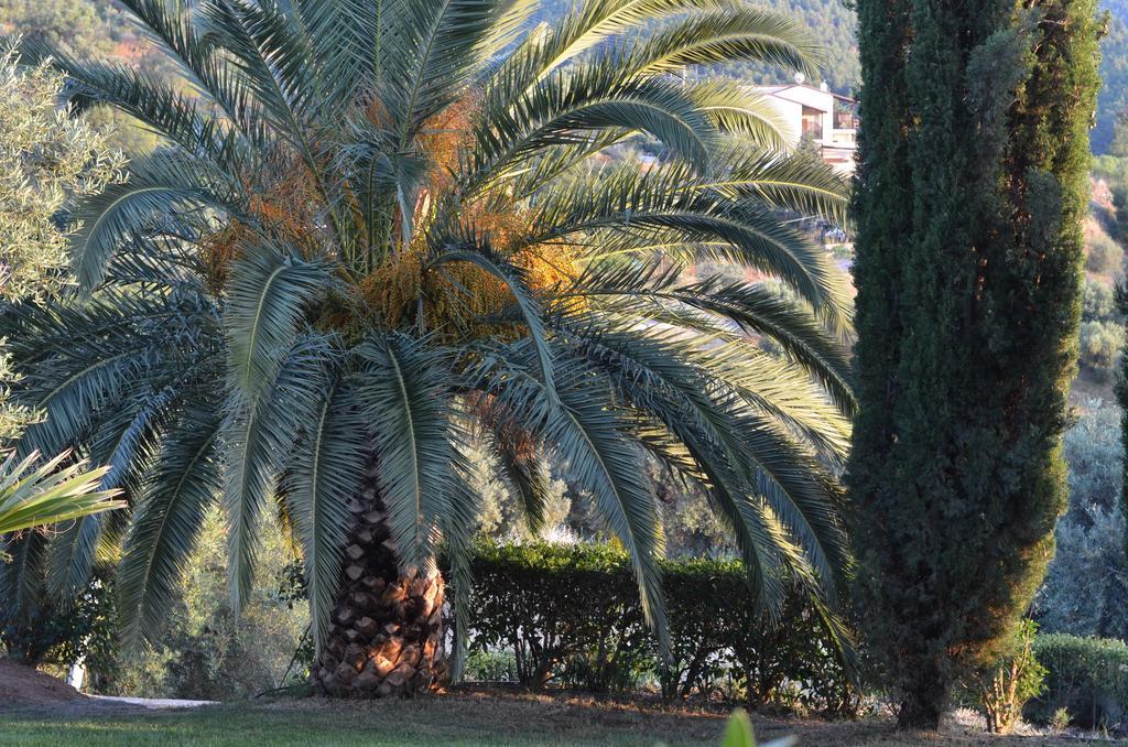 Kelyfos Hotel Neos Marmaras Bagian luar foto